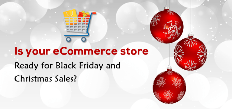Black Friday and Christmas Sales