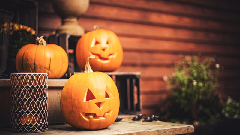 How to Make Your Magento Store Halloween Ready?