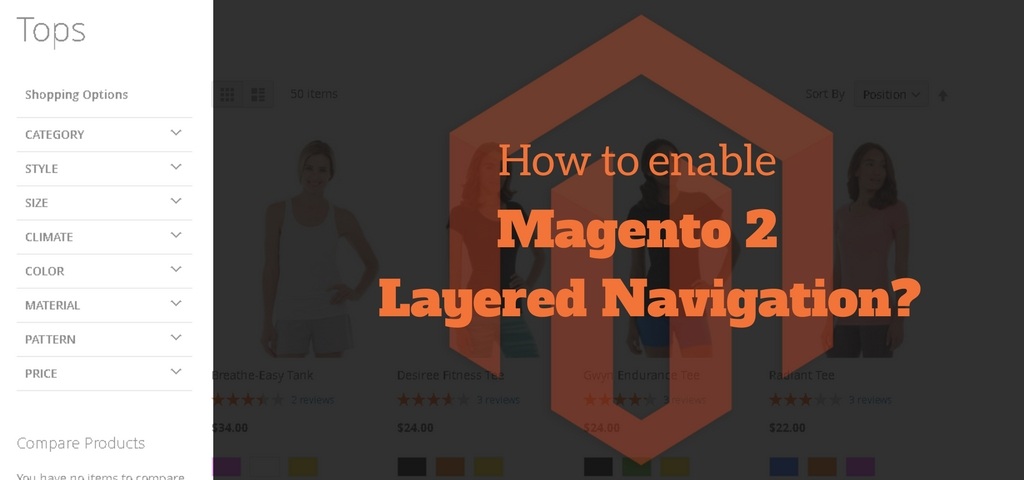 Magento 2 Layered Navigation