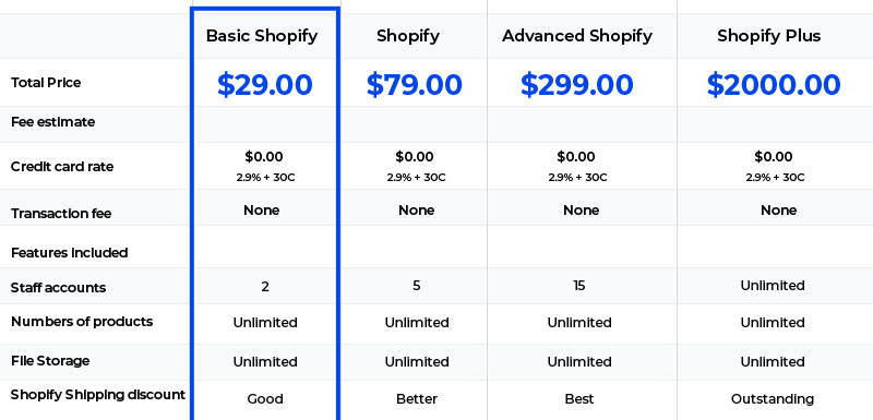 Shopify eCommerce Development Platform Cost